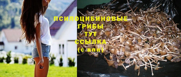 прущие грибы Алексеевка